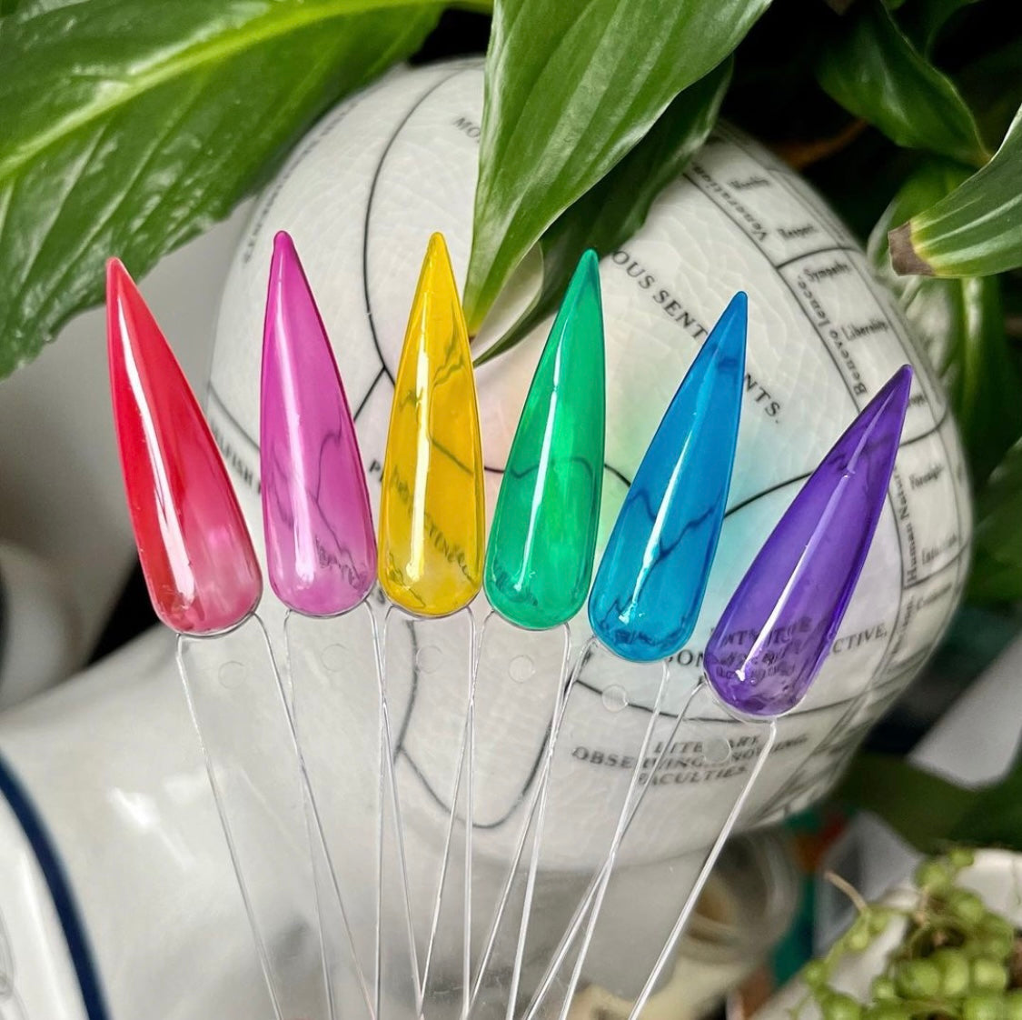 Vamp Gel - VJG03 Blueberry Jelly