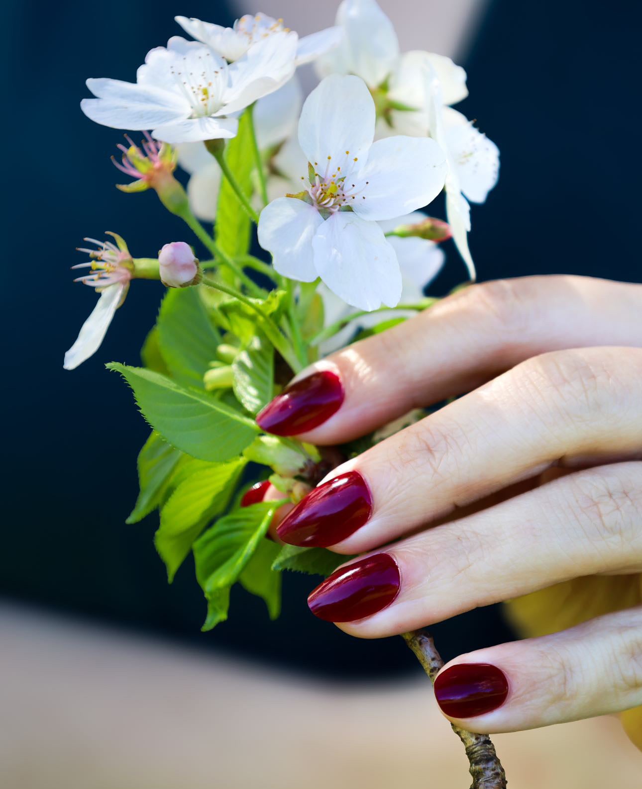 Press on Gel Nails - Merlot