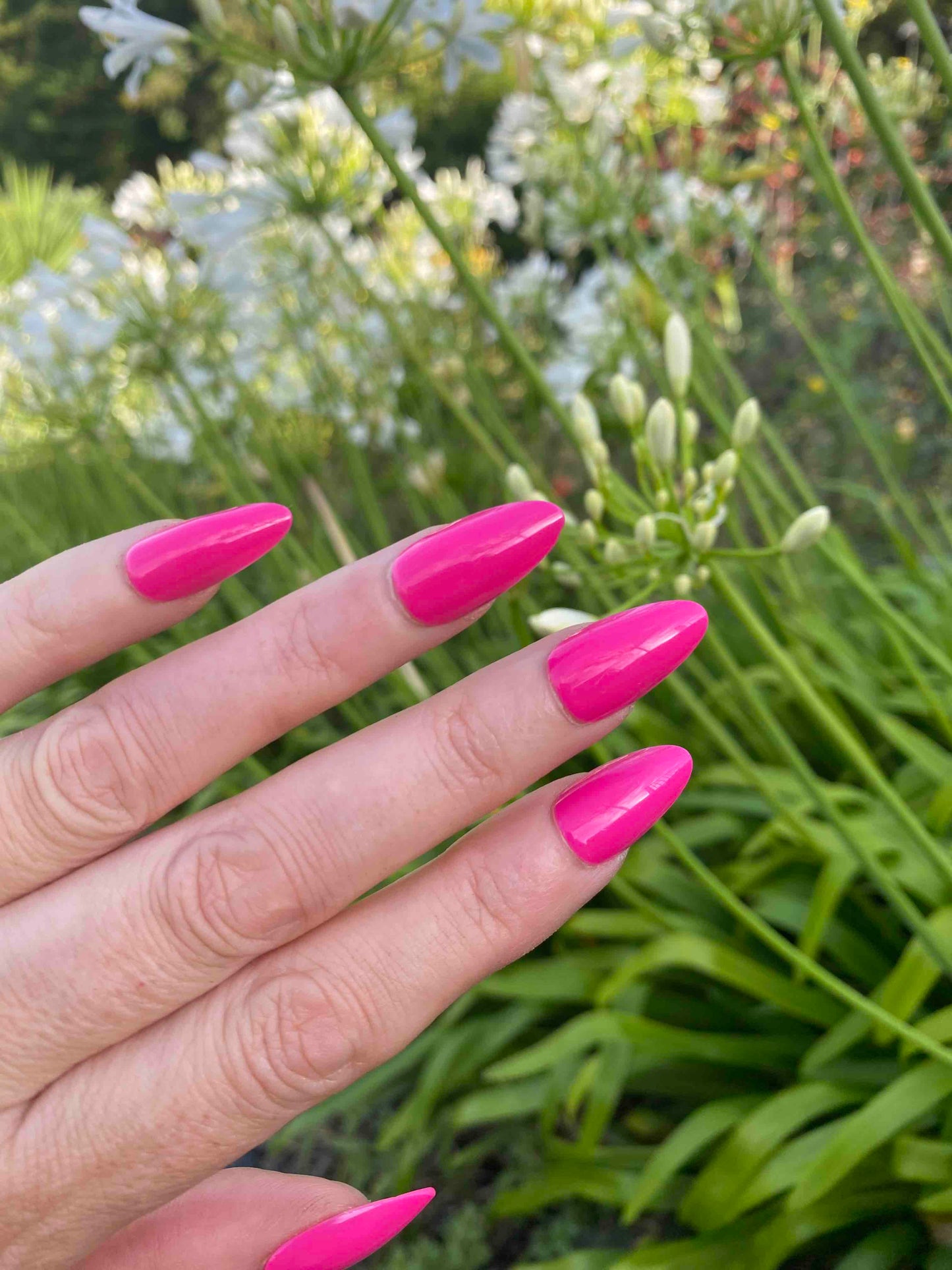 Press on Gel Nails - Rosa